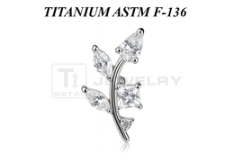 Кластер из титана Ti Metal верба