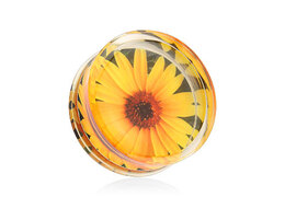 Плаги подсолнух Плаги подсолнух